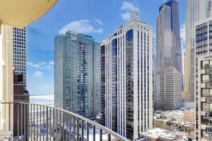 40 E Cedar St, Chicago, IL 60611 - Photo 17