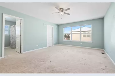 1506 Saddle Run Lane, Beecher, IL 60401 - Photo 13