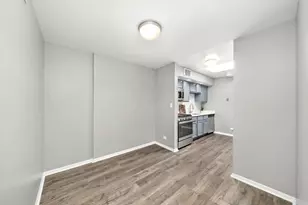 333 S East Ave, Oak Park, IL 60302 - Photo 11