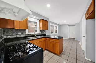 4211 W 47th St, Chicago, IL 60632 - Photo 15