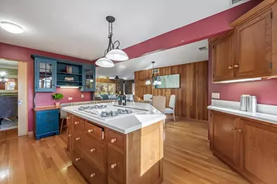 4541 Middaugh Avenue, Downers Grove, IL 60515 - Photo 9