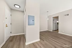 7323 Blackburn Ave, Downers Grove, IL 60516 - Photo 3