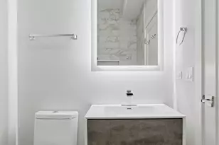 1042 S Oakley Blvd, Chicago, IL 60612 - Photo 13