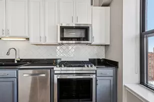 41 E 8th St, Chicago, IL 60605 - Photo 11