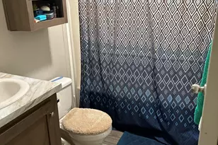 602 Virginia Ave, Lynwood, IL 60411 - Photo 21