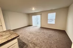 217 Goldenrod Dr, Elgin, IL 60124 - Photo 3