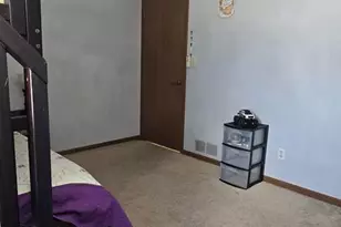 730 Koala Ct, Wilmington, IL 60481 - Photo 35