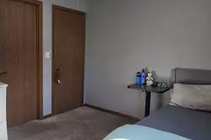 730 Koala Ct, Wilmington, IL 60481 - Photo 39