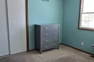 730 Koala Ct, Wilmington, IL 60481 - Photo 33