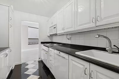 110 E Delaware Street #1301, Chicago, IL 60611 - Photo 9