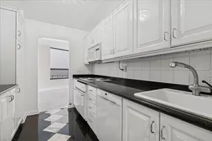 110 E Delaware St, Chicago, IL 60611 - Photo 9