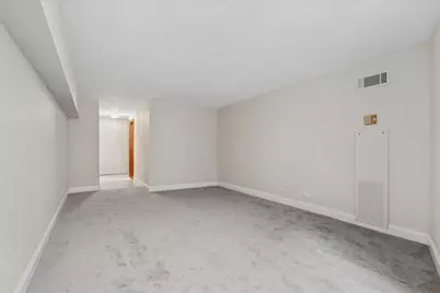 110 E Delaware Street #1301, Chicago, IL 60611 - Photo 17