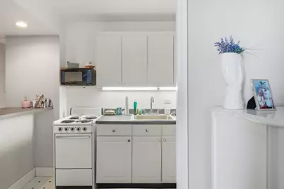 260 E Chestnut Street #406, Chicago, IL 60611 - Photo 5