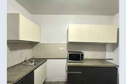 7147 S Constance Avenue #1E, Chicago, IL 60649 - Photo 3