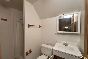 3543 S Wolcott Ave, Chicago, IL 60609 - Photo 15