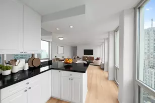 111 E Chestnut St, Chicago, IL 60611 - Photo 7