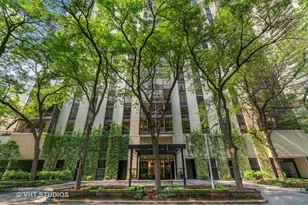 100 E Bellevue Pl, Chicago, IL 60611 - Photo 1