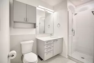 550 N St Clair St, Chicago, IL 60611 - Photo 19