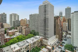 21 W Goethe St, Chicago, IL 60610 - Photo 15