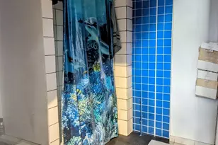 4805 S Elizabeth St, Chicago, IL 60609 - Photo 5