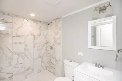 8419 S Morgan Street, Chicago, IL 60620 - Photo 19