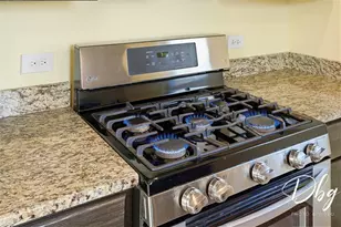 233 W Hawthorne Dr, Round Lake Beach, IL 60073 - Photo 13