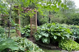 108 N Wheeling Rd, Prospect Heights, IL 60070 - Photo 51