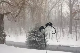 1S055 Spring Rd, Oakbrook Terrace, IL 60181 - Photo 23