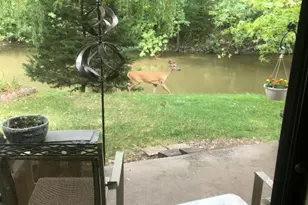 1S055 Spring Rd, Oakbrook Terrace, IL 60181 - Photo 21