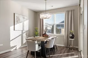 239 Durham St, North Aurora, IL 60542 - Photo 11