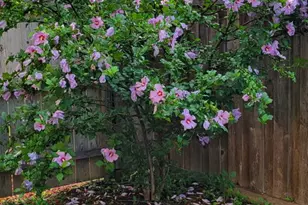 105 King Ln, Des Plaines, IL 60016 - Photo 27