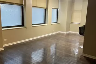 740 S Federal St, Chicago, IL 60605 - Photo 3