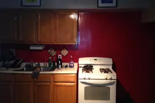 321 E Kensington Ave, Chicago, IL 60628 - Photo 7