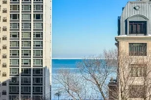 1260 N Astor St, Chicago, IL 60610 - Photo 9