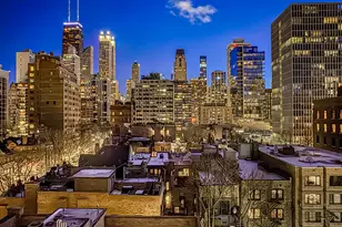 1260 N Astor St, Chicago, IL 60610 - Photo 33