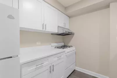 1004 N Mill Street #5-302, Naperville, IL 60563 - Photo 9