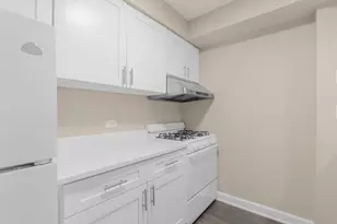 1004 N Mill St, Naperville, IL 60563 - Photo 9