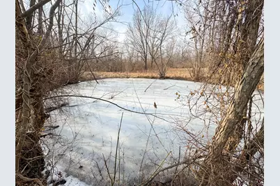 320 N Old Marion Road, Orangeville, IL 62939 - Photo 7