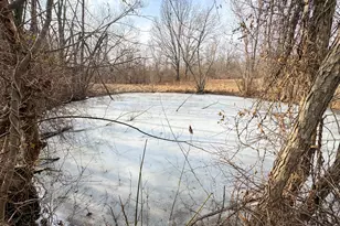 320 N Old Marion Rd, Orangeville, IL 62939 - Photo 7