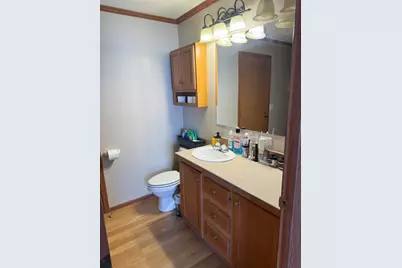 320 N Old Marion Road, Orangeville, IL 62939 - Photo 17