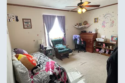 320 N Old Marion Road, Orangeville, IL 62939 - Photo 25