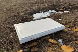 320 N Old Marion Rd, Orangeville, IL 62939 - Photo 29