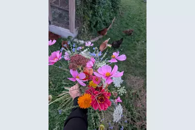 216 S Whispering Hills Drive, Naperville, IL 60540 - Photo 33