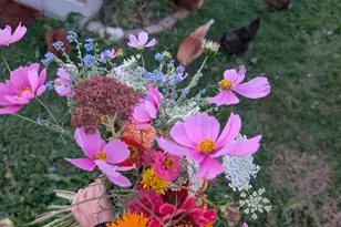 216 S Whispering Hills Dr, Naperville, IL 60540 - Photo 33