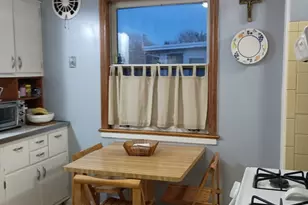 5142 Jarlath Ave, Skokie, IL 60077 - Photo 17