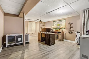 24946 Cashel Bay Rd, Manhattan, IL 60442 - Photo 21