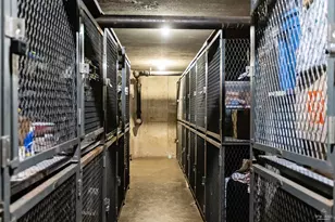 444 W Fullerton Pkwy, Chicago, IL 60614 - Photo 5