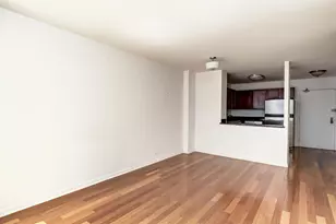 222 E Pearson St, Chicago, IL 60611 - Photo 9