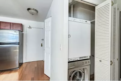 222 E Pearson Street #203, Chicago, IL 60611 - Photo 5