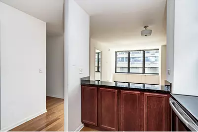 222 E Pearson Street #203, Chicago, IL 60611 - Photo 11